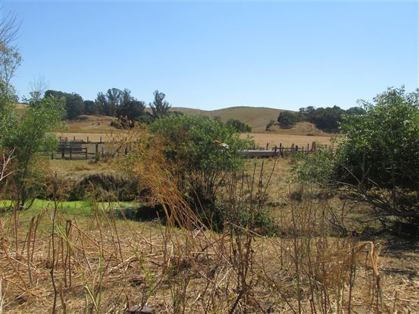Maffia Dairy Ranch (7/25/2018)