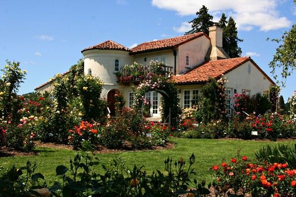 The Russian River Rose Company (7/25/2018)