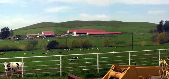 Tresch Dairy (7/25/2018)