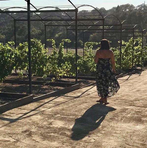 Old Creek Ranch Winery (8/1/2018 - Credits: Jane Holguin)
