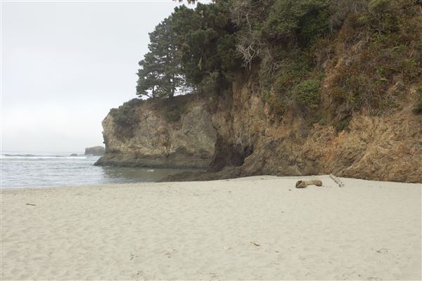 Big River Beach @ Menodocino Headlands State Park  (SP) (7/24/2018 - Credits: Kellen Lim)