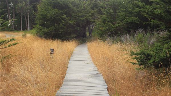 Belinda Point Public Access Trail (7/31/2018 - Credits: Kellen Lim)