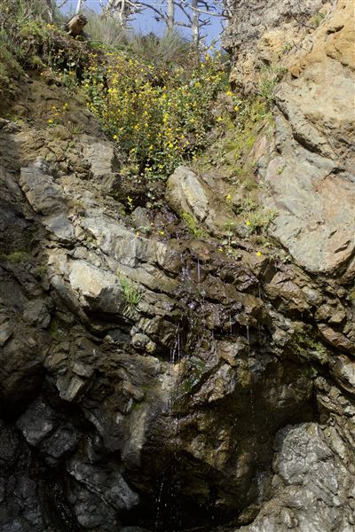 Belinda Point Public Access Trail (7/31/2018 - Credits: Kellen Lim)