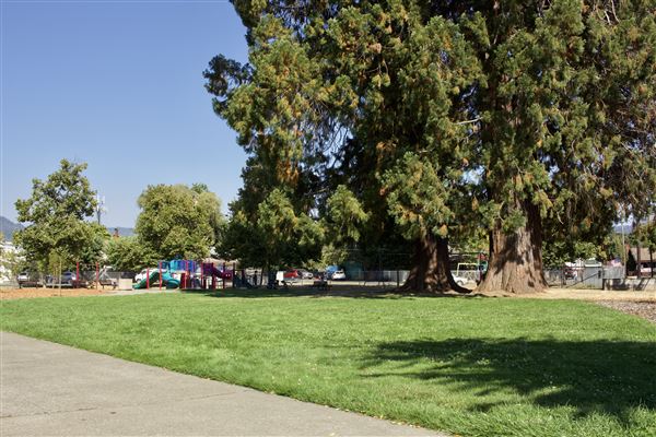 Willits City Park (9/3/2018 - Credits: Kellen Lim)