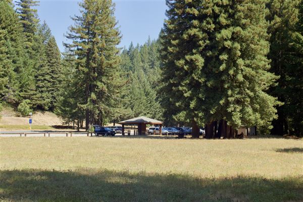 Jackson Demonstration State Forest Camp 20 Recreation Area (9/3/2018 - Credits: Kellen Lim)