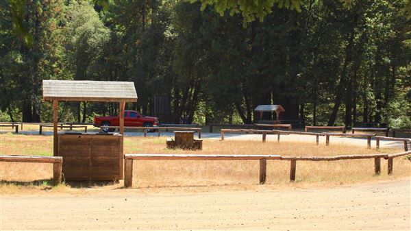 Jackson Demonstration State Forest Camp 20 Recreation Area (9/3/2018 - Credits: Kellen Lim)
