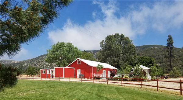 Freedom Ranch - Shadowlands Foundation - Wolves in California (1/7/2019)