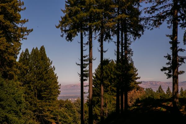 Mountain Terrace, The (2/26/2019 - Credits: Kindred Weddings, Scott Roeder Photo, Ryan Sin Photography)