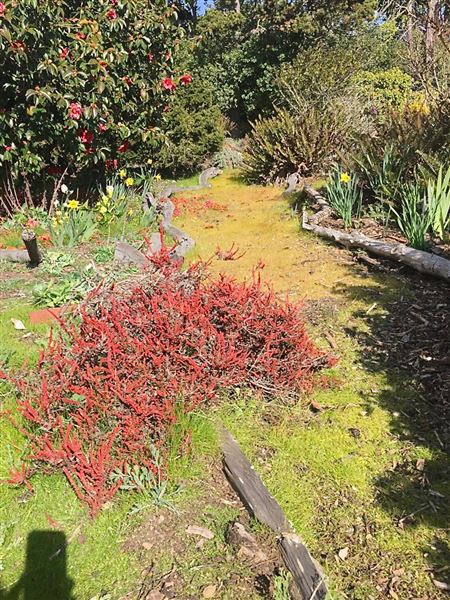 Wavelength Farm - Actual date taken unknown. (4/2/2019 - Credits: Renee Bertrand)