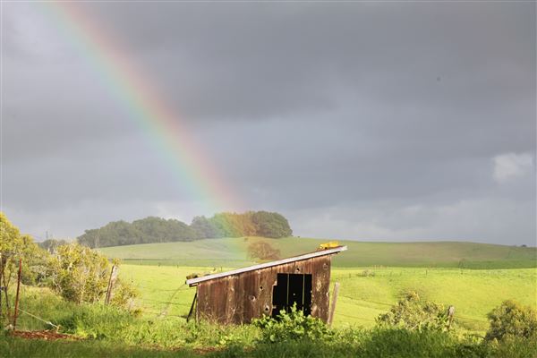 Bees Rock Ranch (5/22/2019)