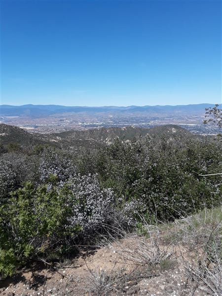 Villalobos Hilltop Ranch (5/23/2019 - Credits: Villalobos Body)