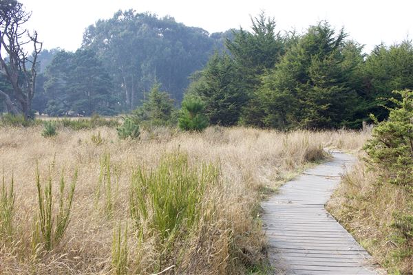 Belinda Point Public Access Trail (11/13/2018 - Credits: Kellen Lim)