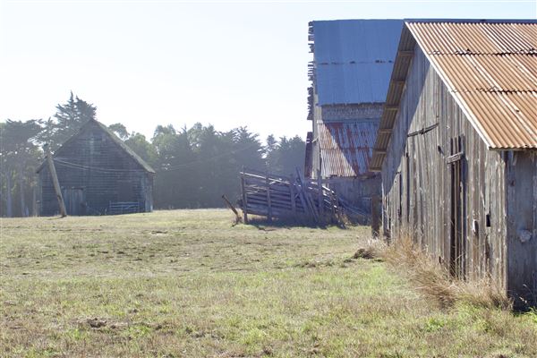 Historic Barns at Spring-Ranch Preserve located in Van Damme State Park (SP) (11/6/2018 - Credits: Kellen Lim)