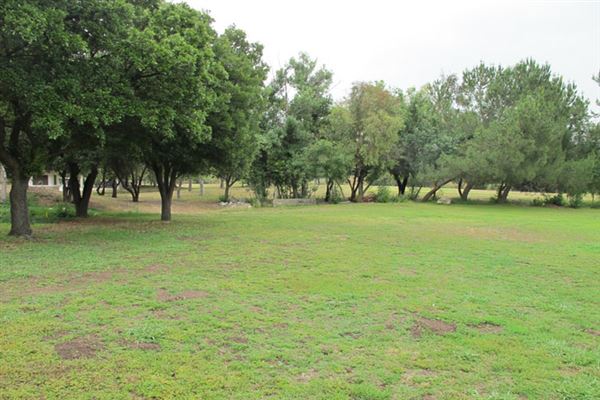 Frank G. Bonelli Regional Park / Puddingstone Reservoir (6/1/2019 - Credits: LocoScout)