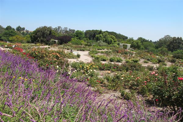 South Coast Botanic Garden (6/1/2019 - Credits: LocoScout)