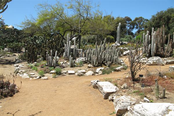 South Coast Botanic Garden (6/1/2019 - Credits: LocoScout)