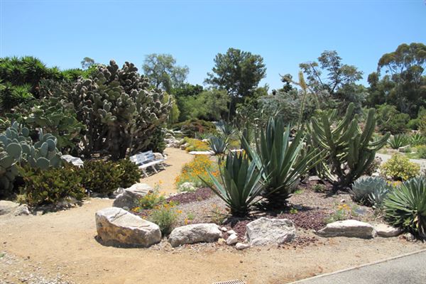South Coast Botanic Garden (6/1/2019 - Credits: LocoScout)