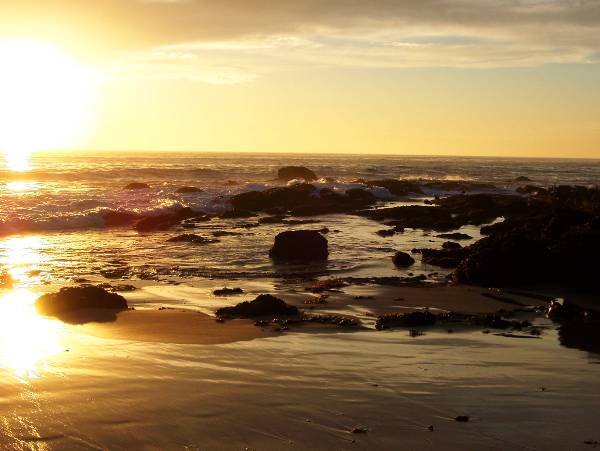 Crystal Cove State Park (SP) (12/31/2003)