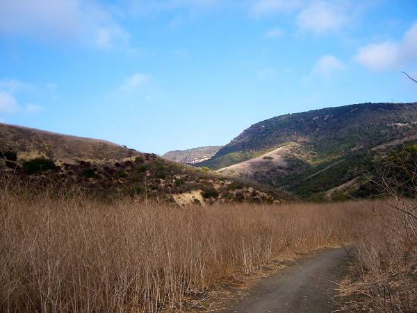 Crystal Cove State Park (SP) (12/31/2003)