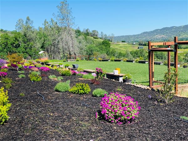 Luna Lavender Farms (9/23/2019 - Credits: Ken Flask)