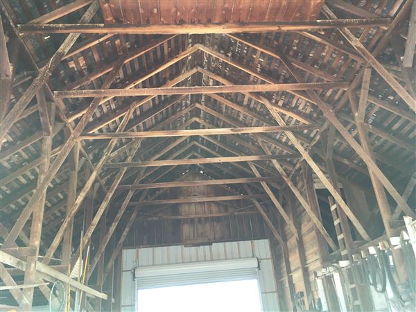 Isquierdo Ranch (3/4/2017 - Credits: Desi Isquierdo)