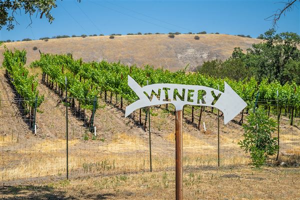 Oreana Winery & Vineyard - Fisco (9/1/2020 - Credits: Photos, Videos and 360° Virtual Tour by Kevin Dole - Home3D.us)