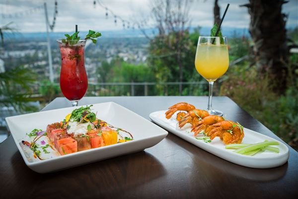 Odyssey Restaurant - Specialty Restaurant Corporation - SRC (9/1/2018)