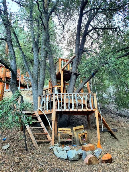 Calm Cabin: Retro Mountain Forest Home - Pine Mountain Club (9/13/2021 - Credits: self)