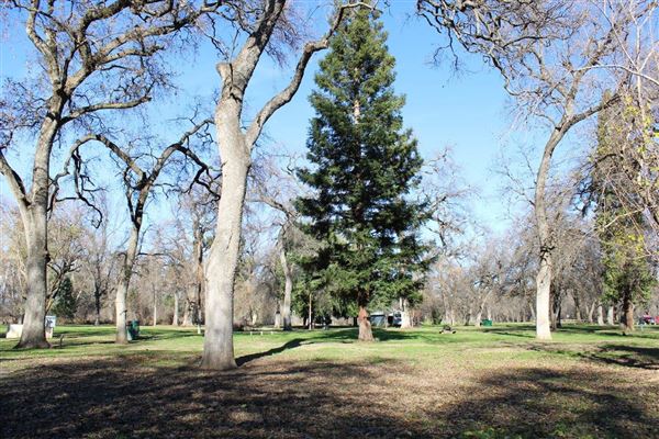 Cone Grove Park (3/1/2022 - Credits: Film Tehama)