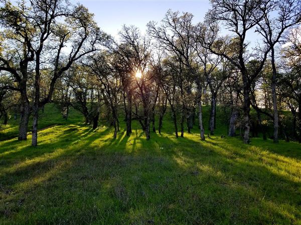 Payne's Creek Wetlands (3/1/2022 - Credits: Film Tehama)