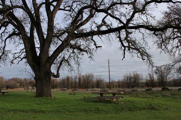 Sacramento River Bend (3/1/2022 - Credits: Film Tehama)