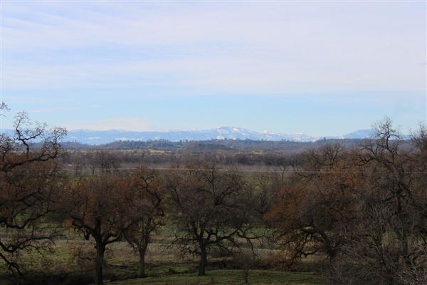 Sacramento River Bend (3/1/2022 - Credits: Film Tehama)