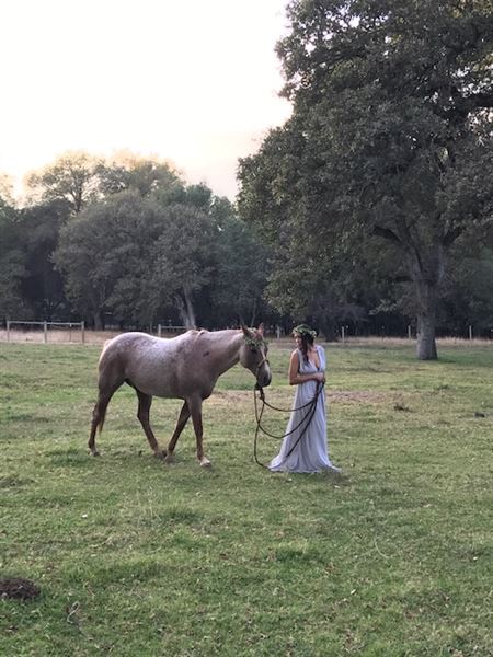 Heart S Ranch (9/1/2021)