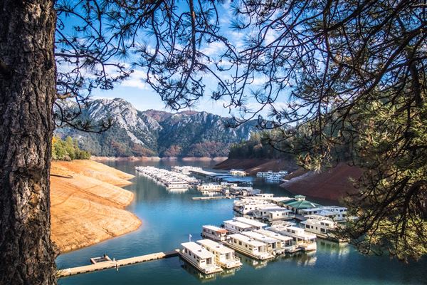 Holiday Harbor (8/9/2019)
