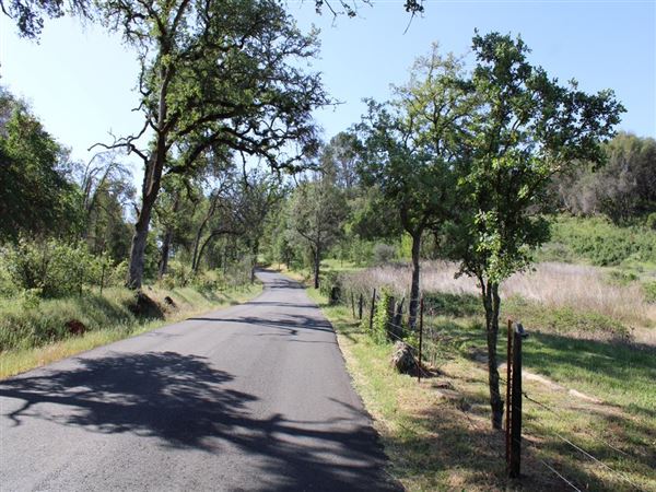 Sicard Flat (4/11/2022)