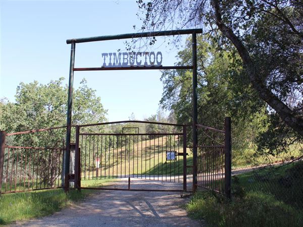 Timbuctoo (4/11/2022)
