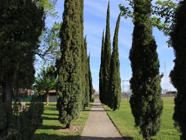 Olivehurst (4/11/2022)