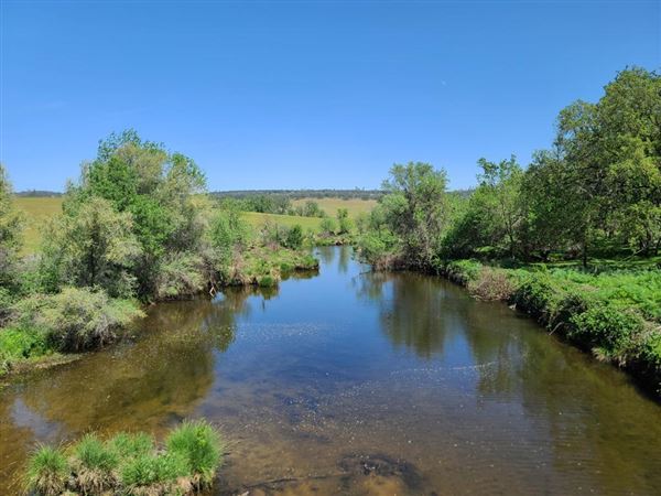 Waldo Junction (4/11/2022)