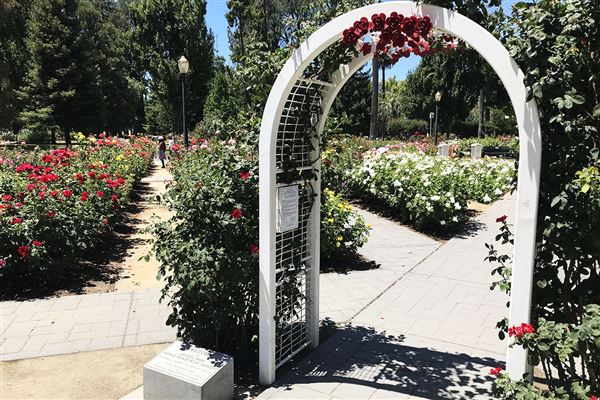 California State Capitol Museum (6/17/2020)