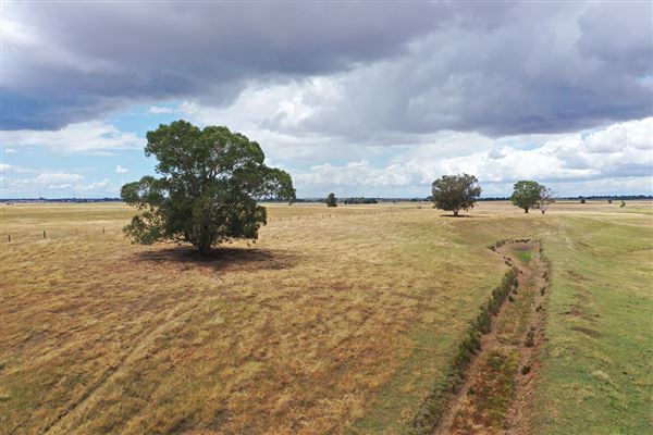 Various Rural Farms And Ranches (8/9/2022)