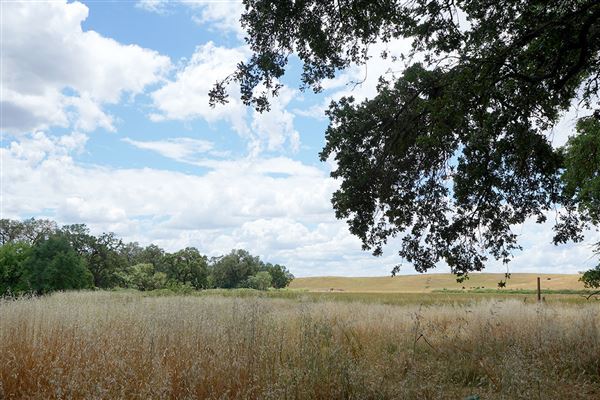 Various Rural Farms And Ranches (8/9/2022)