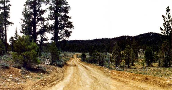 Forest Service Road 3N12 South of 3N16 (12/31/2003)