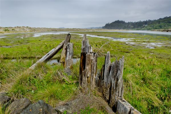 Little River State Beach (SB) (4/14/2014 - Credits: Brian Baer)