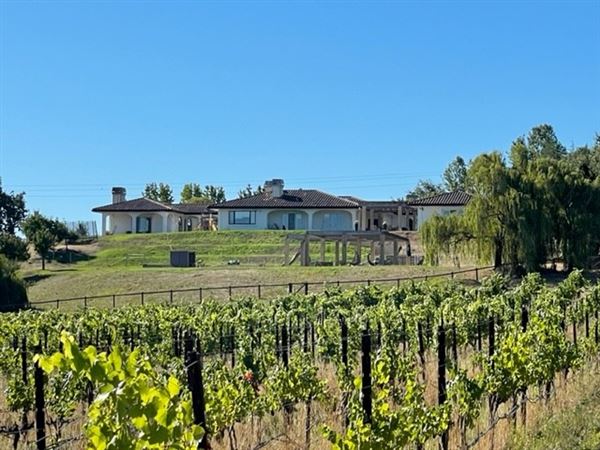 Saccomanno Vineyard (8/23/2022)