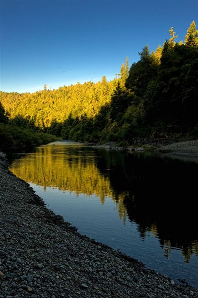 Smithe Redwoods State Natural Reserve (SNR) (6/21/2010 - Credits: Brian Baer)