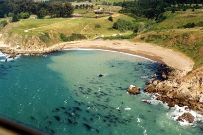 Sandy Cove Beach @ Fort Ross State Historic Park (SHP) (12/31/2003)