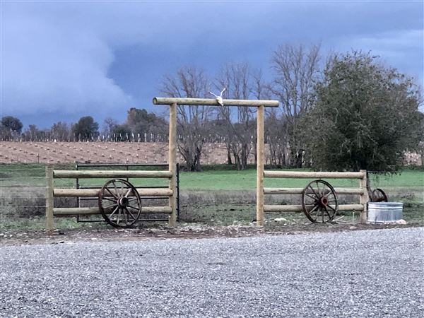 Reed River Ranch (1/26/2023 - Credits: Sally Reed)
