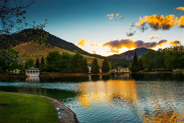 Wonder Valley Resort, Dude Ranch & Equestrian Center (4/8/2015 - Credits: Kalene Ramirez)