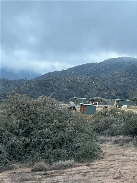Animal Party Rescue and Sanctuary (3/17/2023)