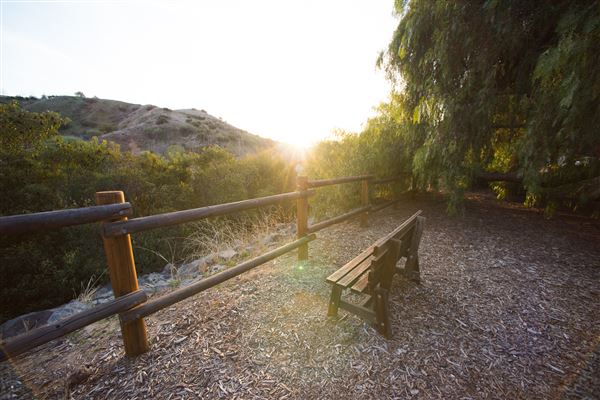 Carbon Canyon Regional Park (3/5/2018 - Credits: OC Parks)
